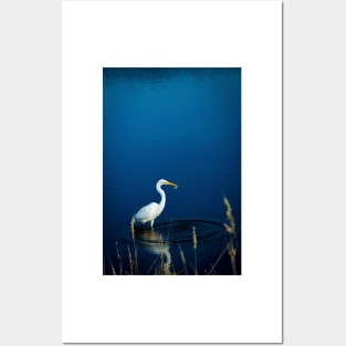 White Great Egret Posters and Art